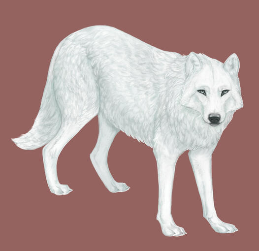 full body painting - 88 USD